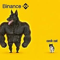CASHCAT / BNB