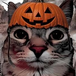HALLOCAT