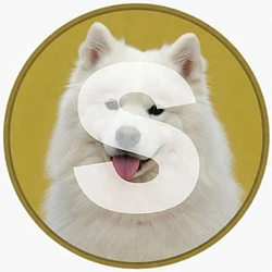 Samoyed