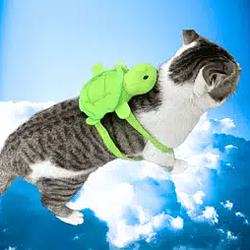CATWIFBACKPAC