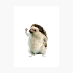 HEDGEHOG