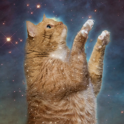 Zarathustra