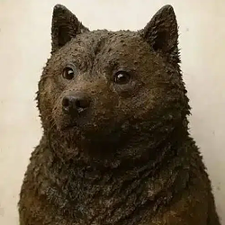 dogshit