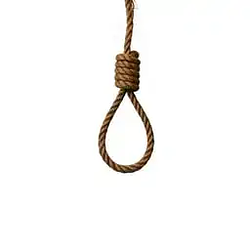 rope / SOL