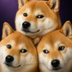 $DOGELANA / SOL