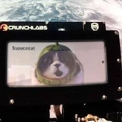 spacecat / SOL