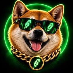 ROBDOG / WETH