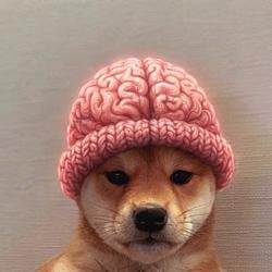 DOGWIFBRAI
