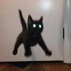 jump / SOL