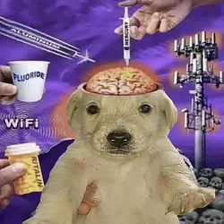 PSYOPDOG / SOL