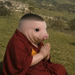 ZENPIGLET