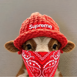 SUPREME