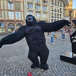 GORILLA