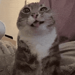 Gooner
