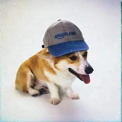 RUFUS