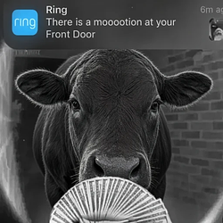 Mootion