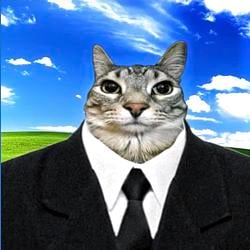 CatWork / SOL