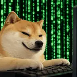 HACKINU