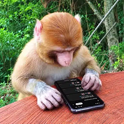 XMONKEY