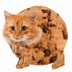 cookiecat