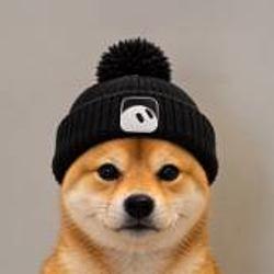DOGBOT