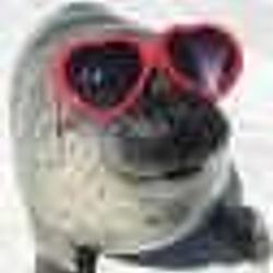 Seal