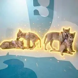 4 / SOL