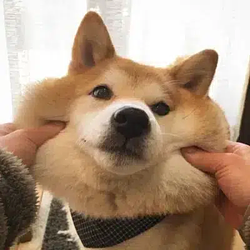 Scrapechan45
