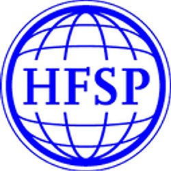 HFSP / BNB
