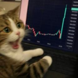 SoldCat