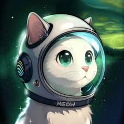 Meow / JUP