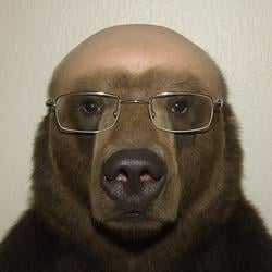 BALD