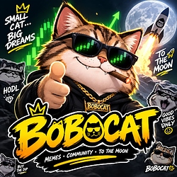 $BOCAT