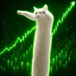 Looongcat / SOL