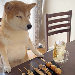 SHIBA