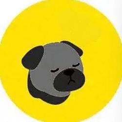 PUGCOIN / SOL