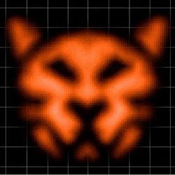 orangecat