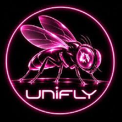 UNIFLY / WETH