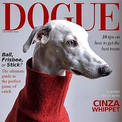DOGUE