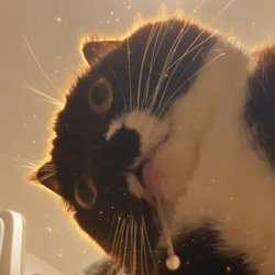 Drooly / SOL