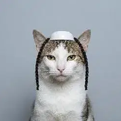Shekels