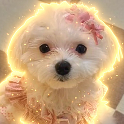 Koyuki