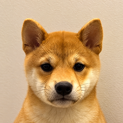 Mochi