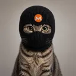 CRIMECAT / SOL