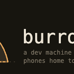 burrow / SOL