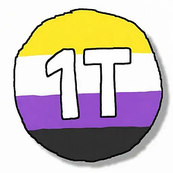 1T / SOL