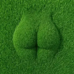 GRASS / SOL