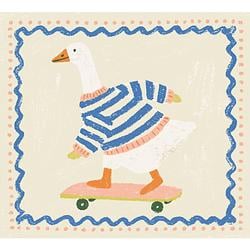 SKATERGOOS / SOL
