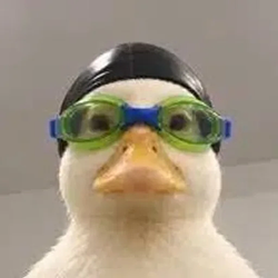 DASDUCK