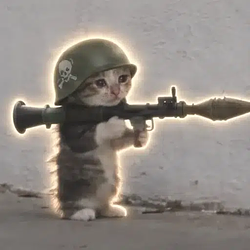 bazucat
